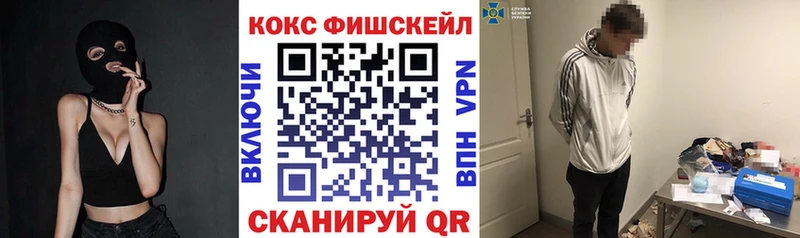COCAIN Fish Scale  где купить наркоту  Гаврилов Посад 