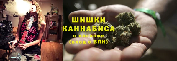 шишки Алексин