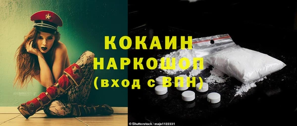 шишки Алексин