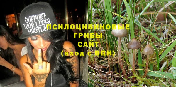 тгк Алзамай