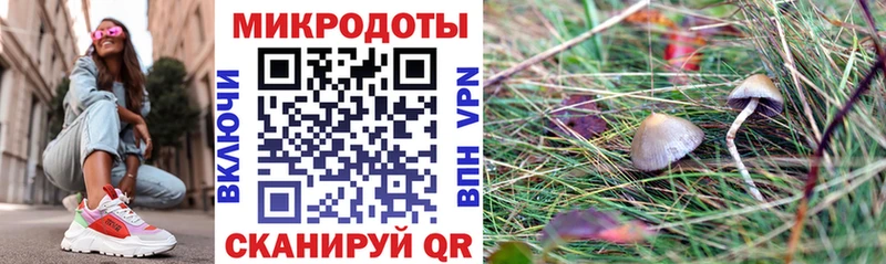 Псилоцибиновые грибы мицелий  darknet наркотические препараты  Гаврилов Посад 