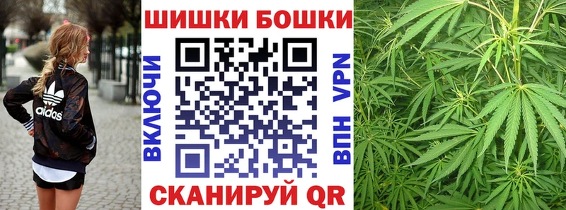 Каннабис сатива  как найти закладки  Гаврилов Посад 